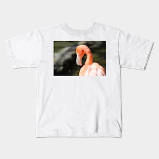 Pink / orange Flamingo Kids T-Shirt